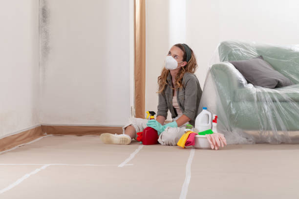 Reliable Black Mold Remediation contractor in Rolesville, NC by Car Mold Remediation